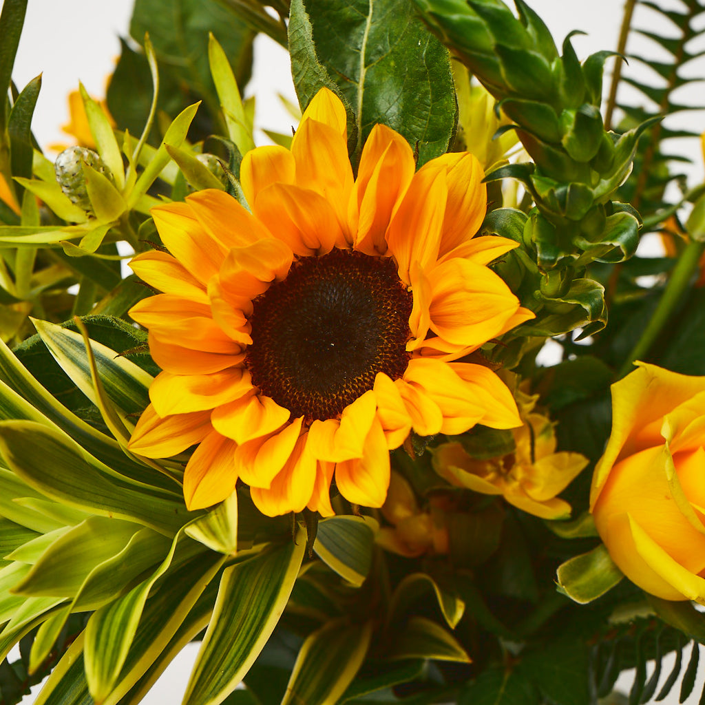 A Clockwork Orange (Sunflowers / Yellow roses / Craspedia / Ornithogalum / Leucadendron / Ferns)