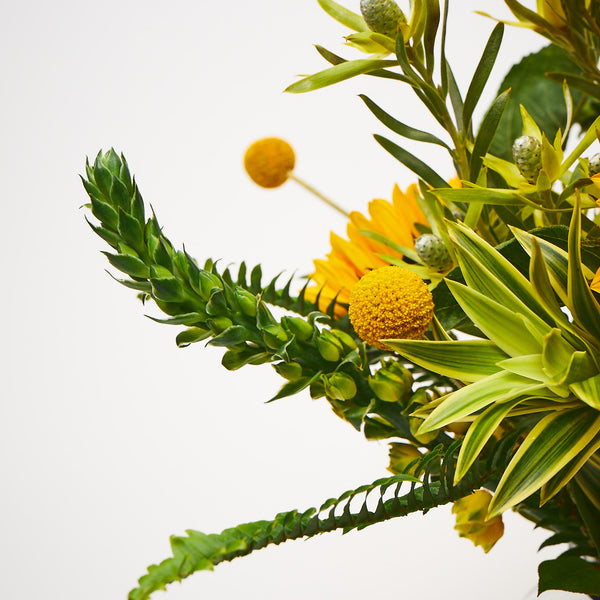 A Clockwork Orange (Sunflowers / Yellow roses / Craspedia / Ornithogalum / Leucadendron / Ferns)