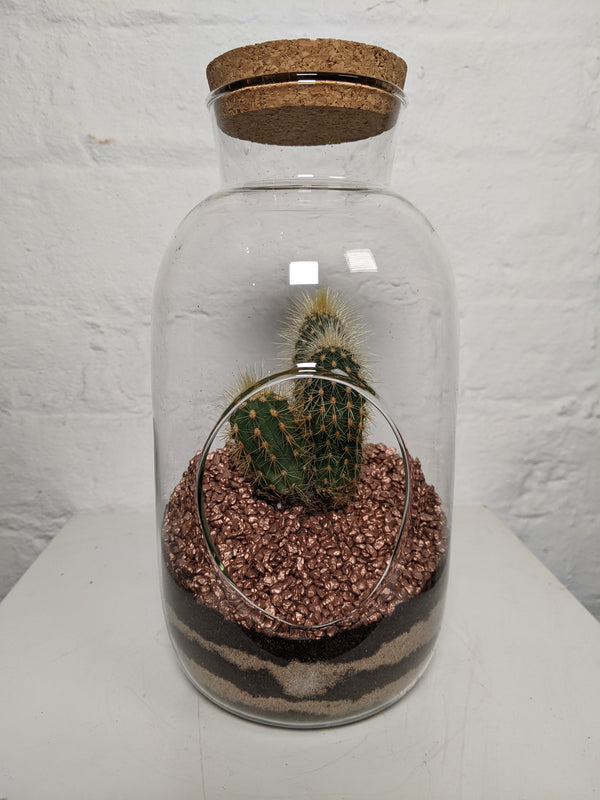 Cork Bottle Terrarium (Cactus)