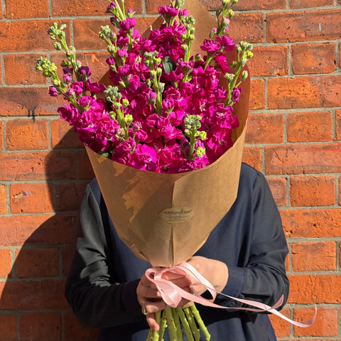 Solo bunches