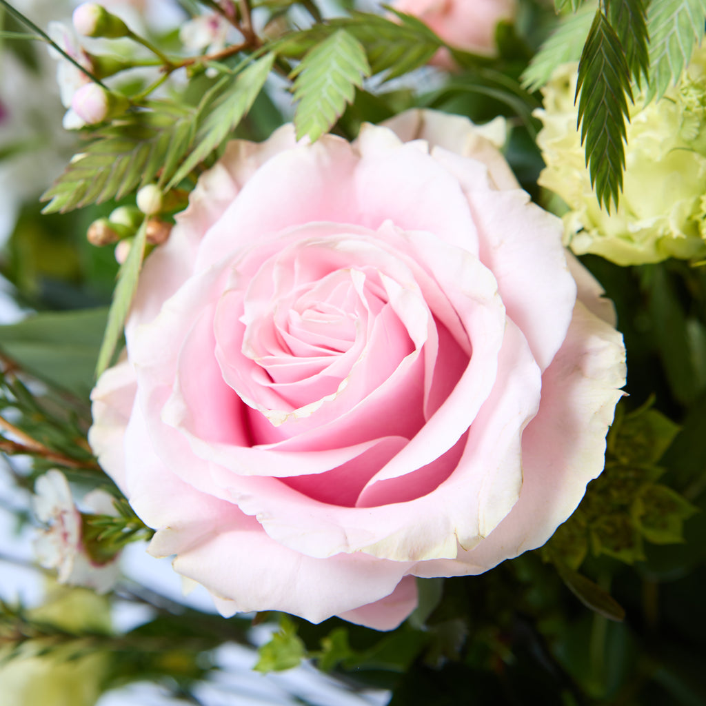 Just Between Friends (Lisianthus / Clematis / Stocks / Roses / Spray Rose / Waxflower / Anthurium / Chasmanthium / Eucalyptus / Bupleurem)
