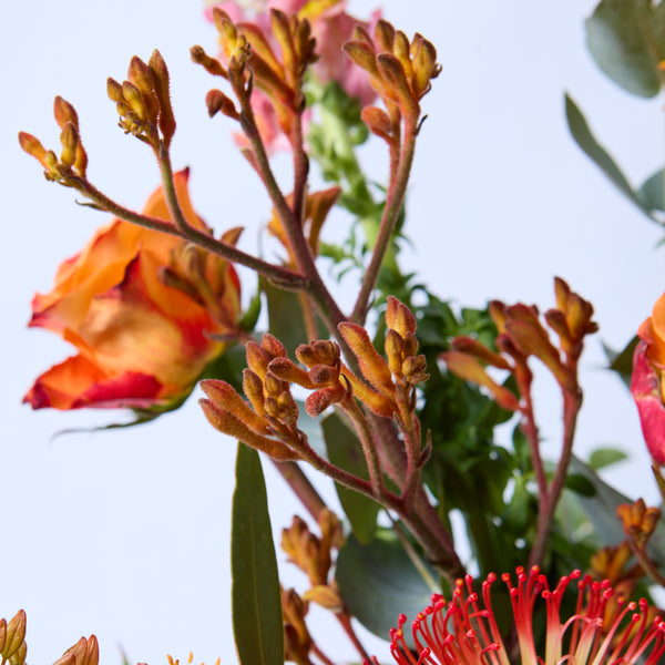 A Clockwork Orange (Eremurus / Orange roses / Kangaroo Paw/ Leucospermum / Antirrhinum / Eucalyptus)