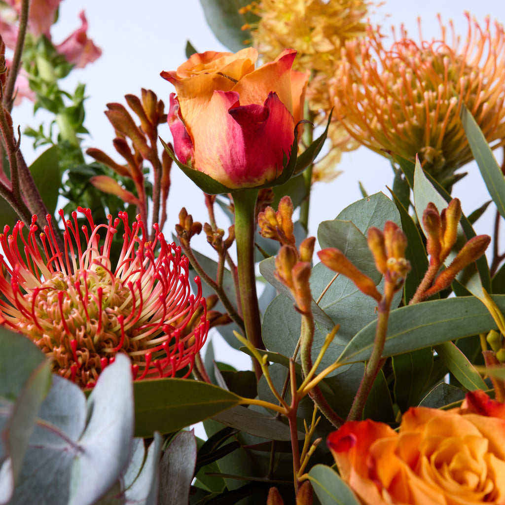 A Clockwork Orange (Eremurus / Orange roses / Kangaroo Paw/ Leucospermum / Antirrhinum / Eucalyptus)
