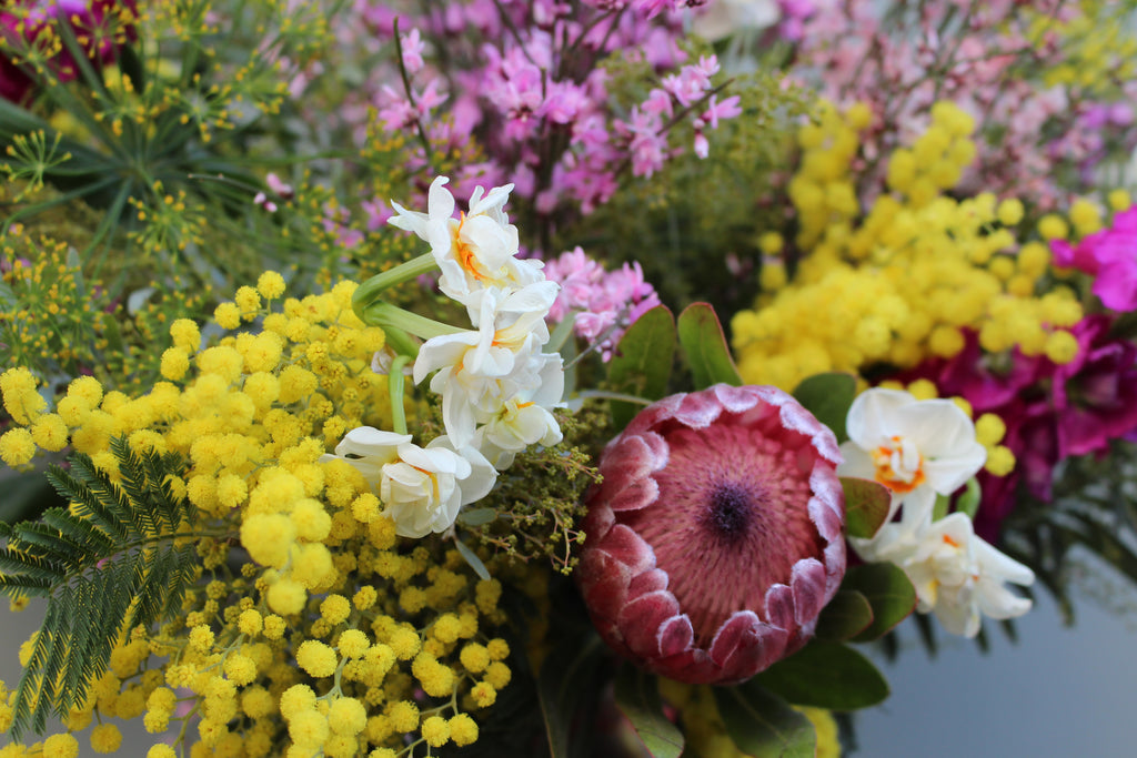 My Girl (A bright, scented bouquet of mimosa, genista, stocks, narcissi and protea in bright yellows and pinks.)