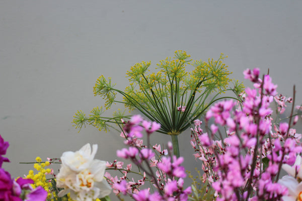 My Girl (A bright, scented bouquet of mimosa, genista, stocks, narcissi and protea in bright yellows and pinks.)