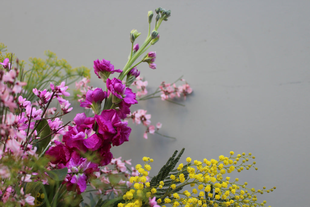 My Girl (A bright, scented bouquet of mimosa, genista, stocks, narcissi and protea in bright yellows and pinks.)