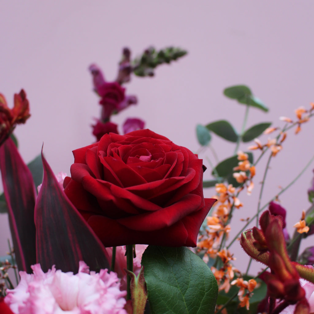 Love Actually (A combination of reds, oranges and pinks including roses, kangaroo paw, lisianthus and snapdragons)