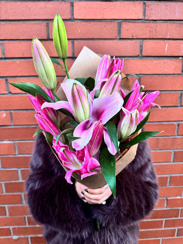 Pink lily Solo (A wrap of stunning stargazer lilies in pink)