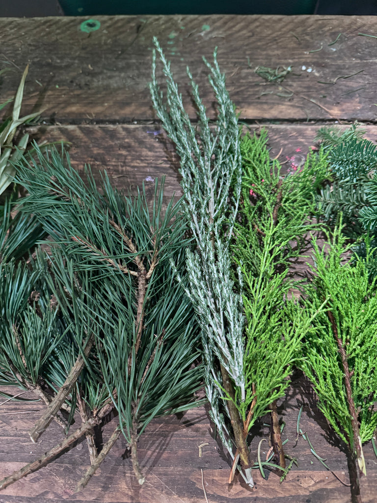 'Holidays Are Coming' DIY Wreath Kit