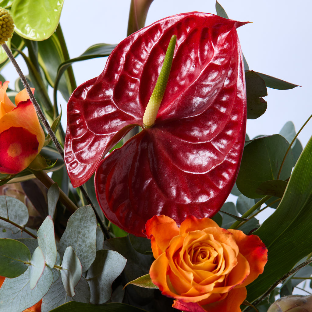 Kinky Afro (Anthurium / Billybobs / Protea / Bird of Paradise / Roses / Eucalyptus / Dracaena)