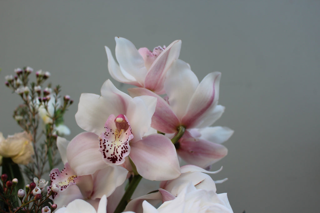 Breakfast at Tiffany's (A classic combination of O'Hara roses, freesia, lisianthus, waxflower and cymbidium orchid in whites and pale pinks)