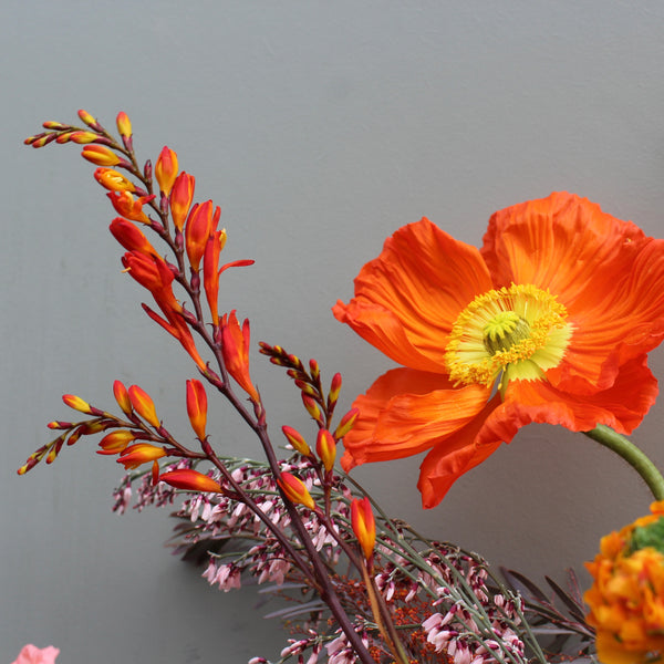 Mamacita (Bright, bold and beautiful in oranges and pinks. Poppies, genista, crocosmia, narcissi and mimosa foliages make up this show stopper.)