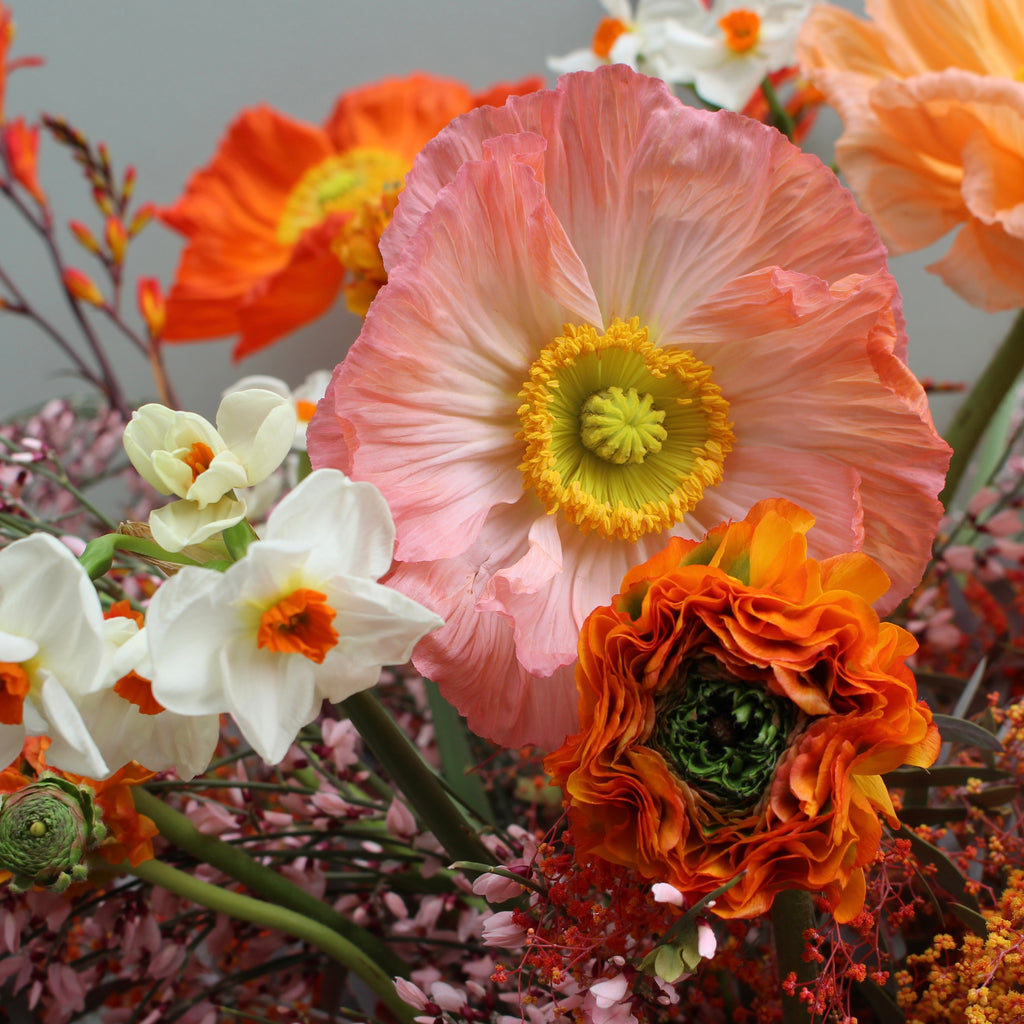 Marge (Bright, bold and beautiful in oranges and pinks. Poppies, genista, crocosmia, narcissi and mimosa foliages make up this show stopper.)