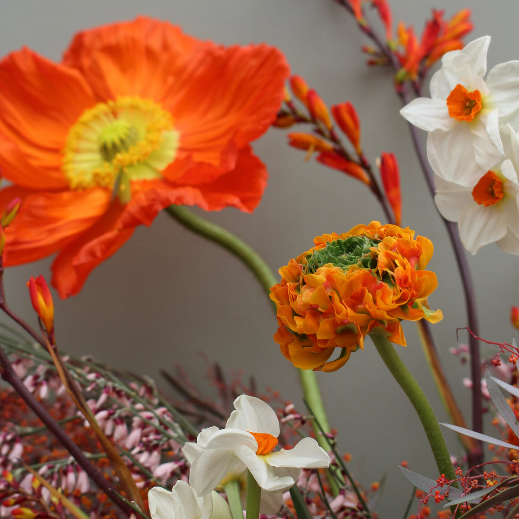 Marge (Bright, bold and beautiful in oranges and pinks. Poppies, genista, crocosmia, narcissi and mimosa foliages make up this show stopper.)