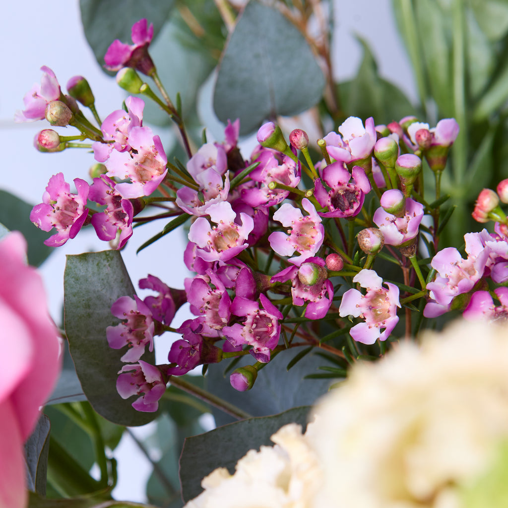 Pretty In Pink (A super pretty bouquet in all pinks including snapdragon,  lisianthus, hydrangea, roses and waxflower)