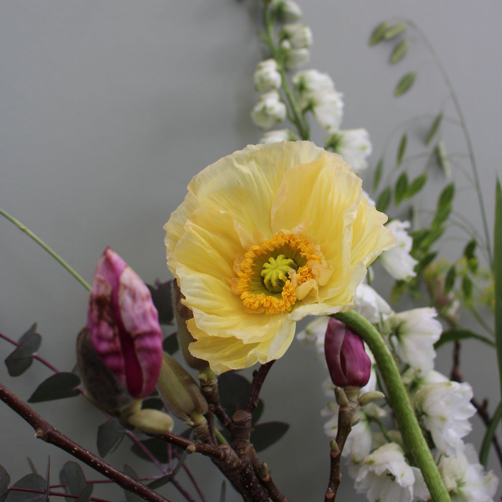 Moira (Poppies, anemones, magnolia and delphinium in neutral shades make this a real stunner.)