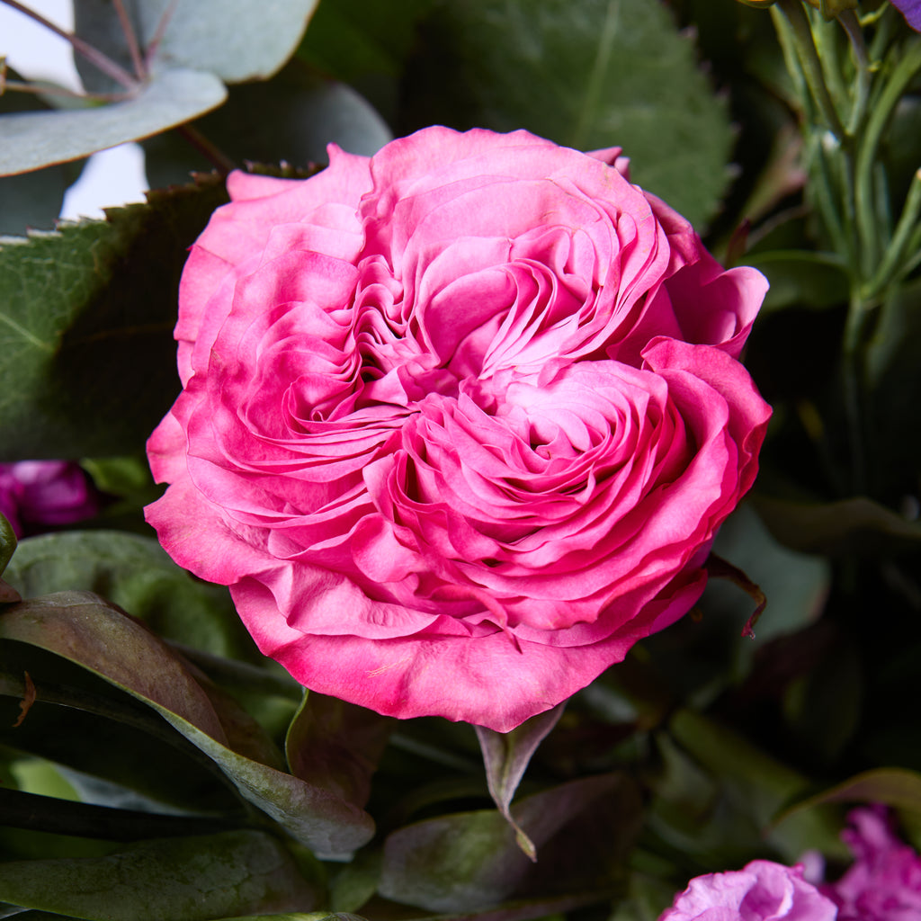 The River Tib (Lisianthus / Clematis / Roses / Anthurium / Stocks)