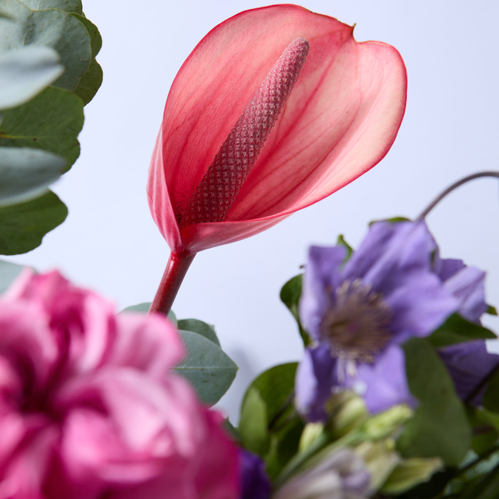The River Tib (Lisianthus / Clematis / Roses / Anthurium / Stocks)