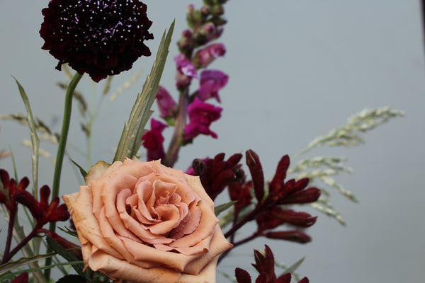 The Devil Wears Prada (A dark and luxurious bouquet with toffee roses, scabious, ranunculus, kangaroo paw, antirrhinum and grasses)