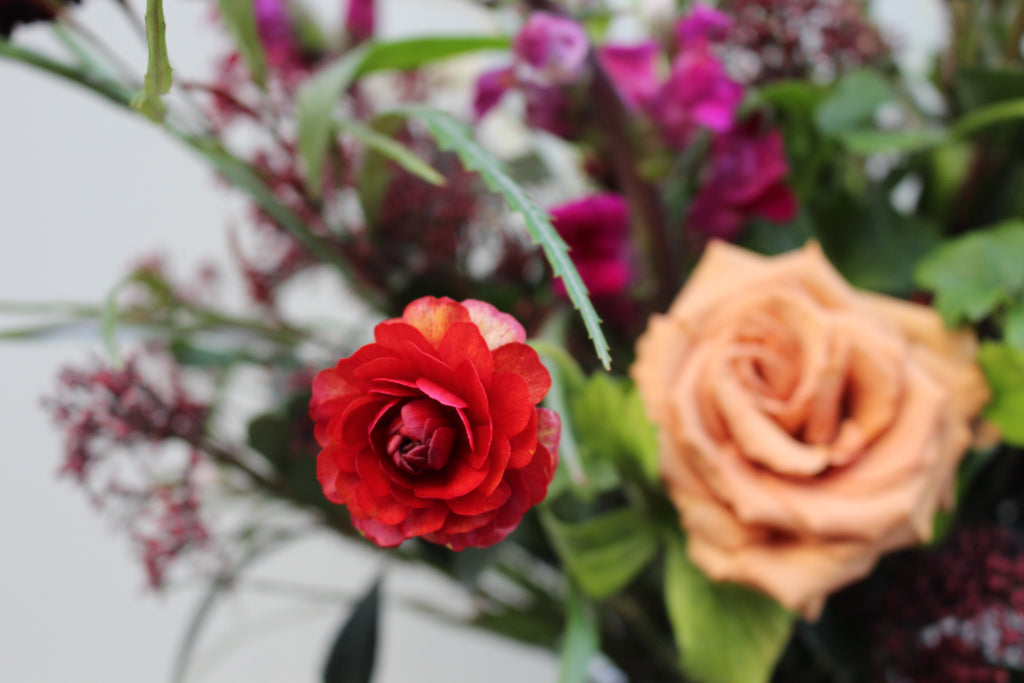 The Devil Wears Prada (A dark and luxurious bouquet with toffee roses, scabious, ranunculus, kangaroo paw, antirrhinum and grasses)