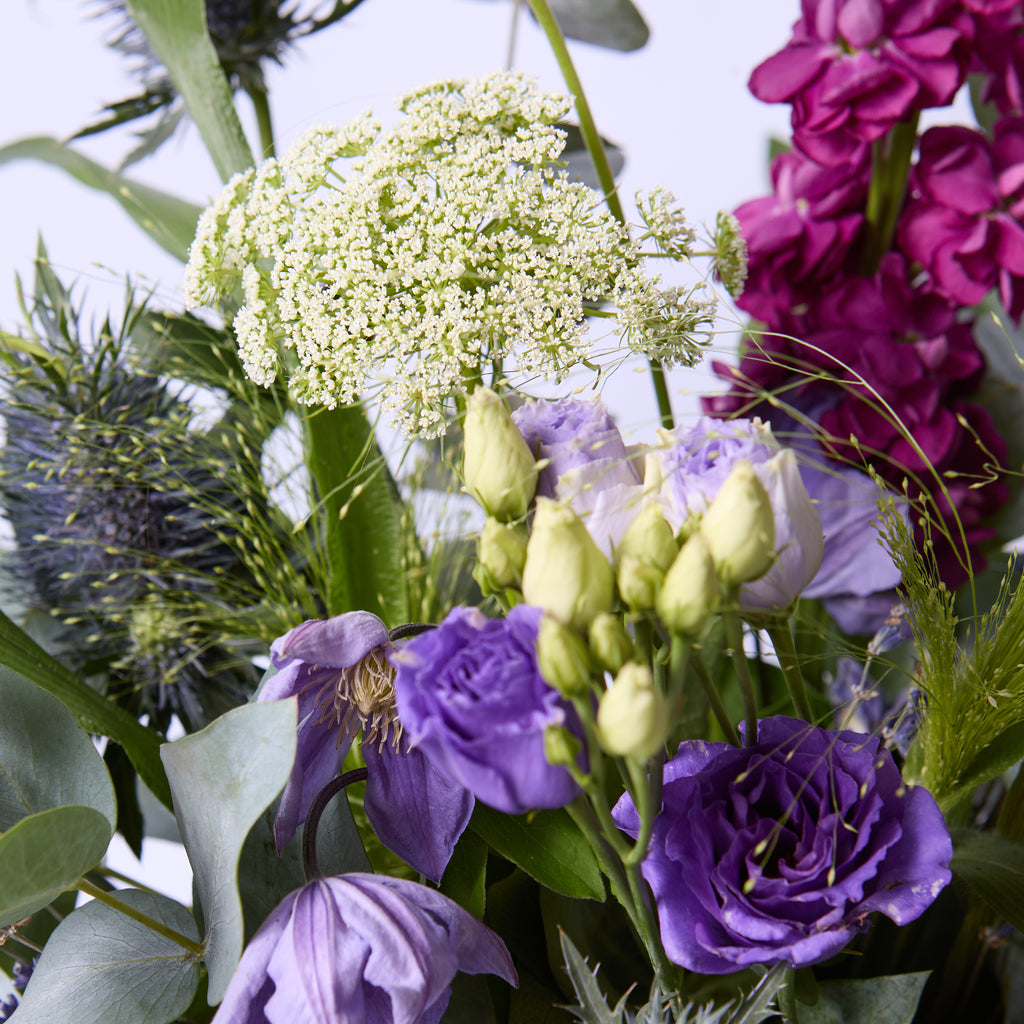 Shlurple The Purple (Stocks / Clematis / Scabious / Panicum / Dill / Thistle)