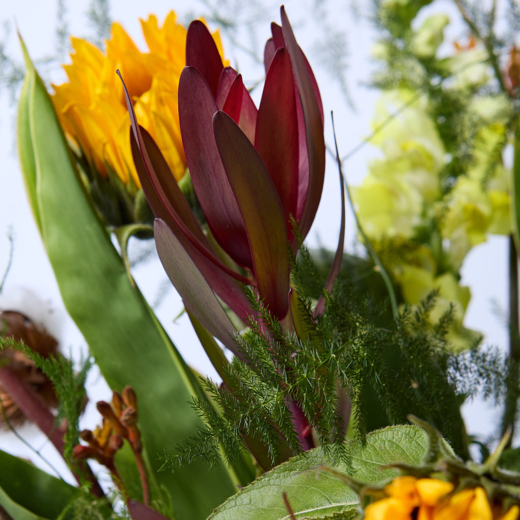 The Worker Bee (Sunflower / Cotton / Billybobs / Kangaroo Paw / Leucodendron / Snapdragon)