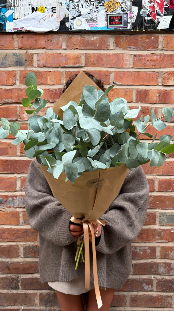 Eucalyptus Solo (A wrap of scented eucalyptus foliage)