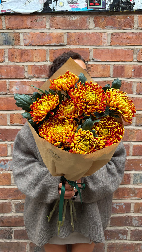 'Fuego' Chrysanthemum Solo (A wrap of bright Autumn blooms)