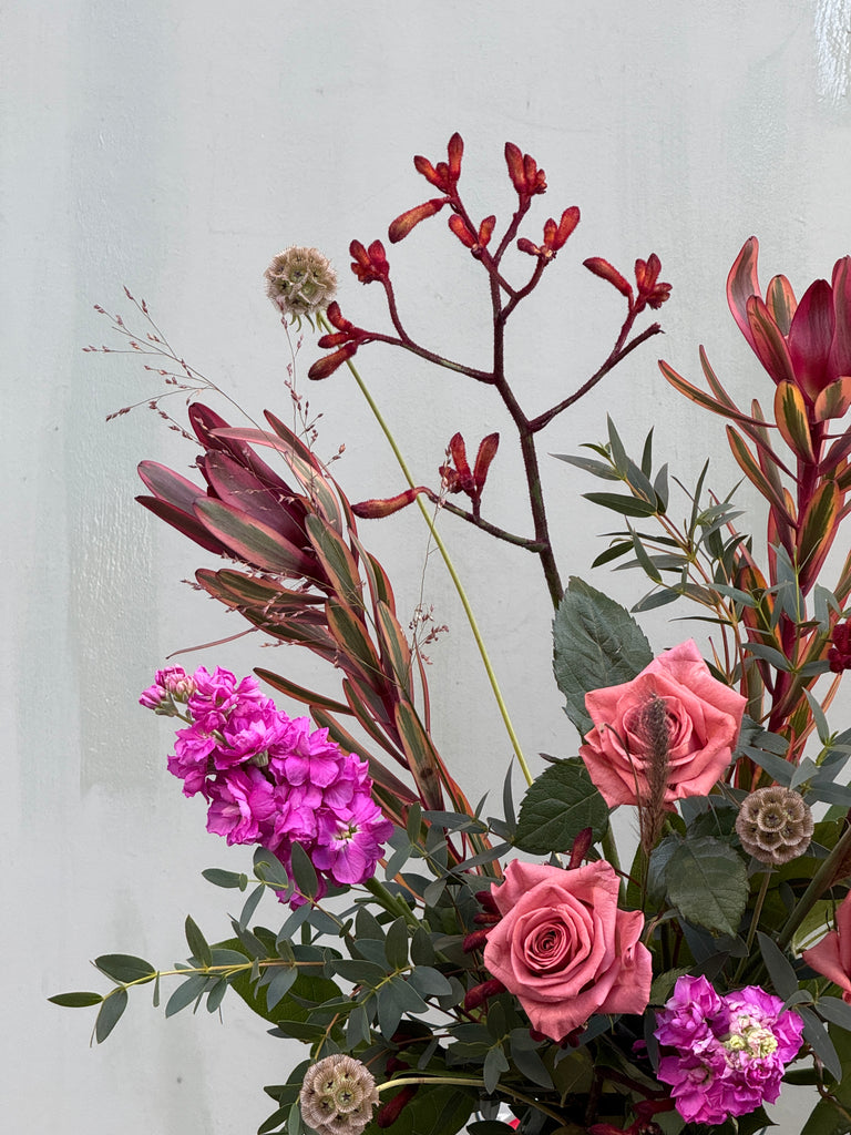 The Devil Wears Prada (A dark and luxurious bouquet with roses, scabious, leucadendron, kangaroo paw, scented stocks and grasses)