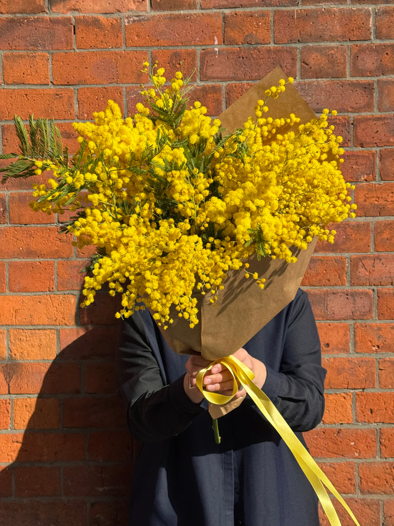 Mimosa Solo (A wrap of just marvellous mimosa - colours may vary)