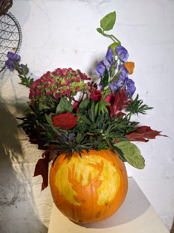 Pumpkin Arrangement Workshop - Thursday 26th October - 6-8pm