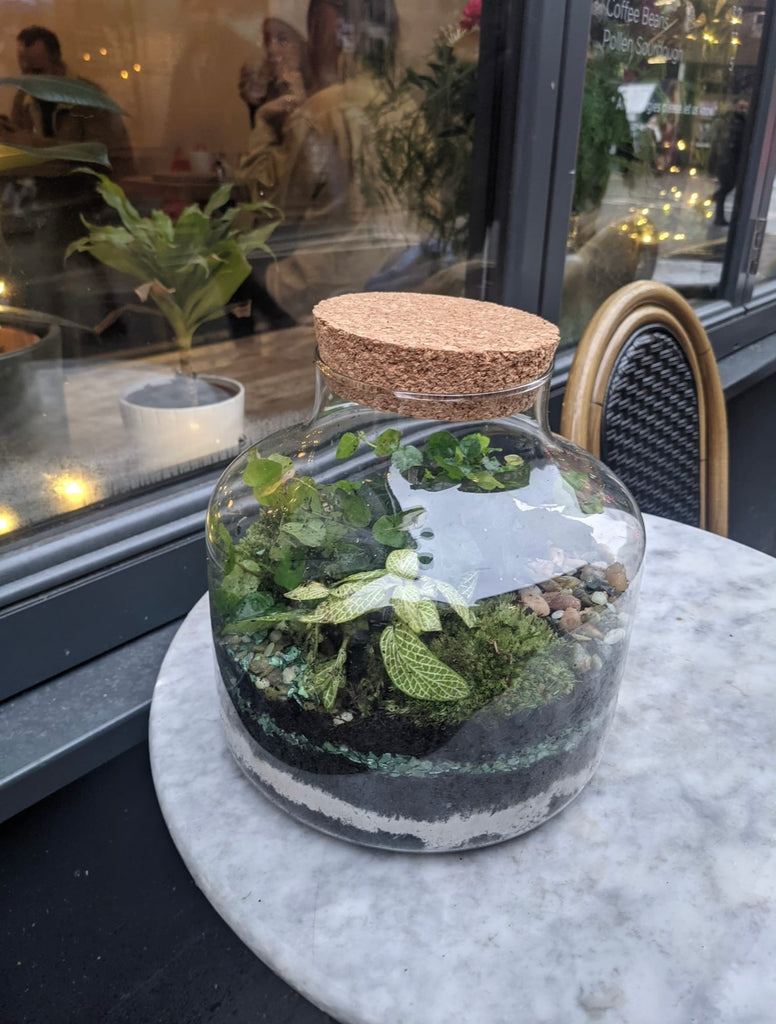 Terrarium Workshop - Thursday 12th June, 6-7:30pm