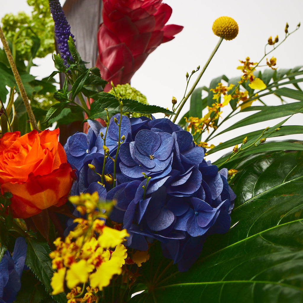Kinky Afro (Blue hydrangea / Orange roses / Craspedia / Pink gingers / Purple veronica / Viburnum / Palm leaves / Aralia leaves)