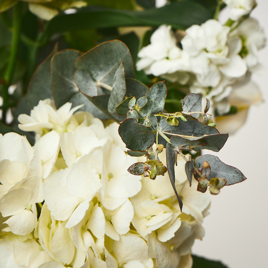 Our Emmeline (White hydrangea / Dill / Stocks / Roses / Lilies / Lisianthus / Eucalyptus)